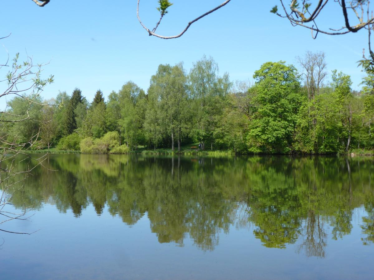 Ferienwohnung In Kempten Am Stadtweiher Екстериор снимка